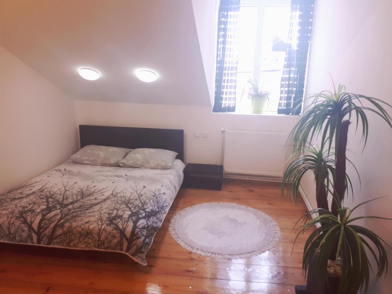 Karin House Leilighet Tbilisi Eksteriør bilde